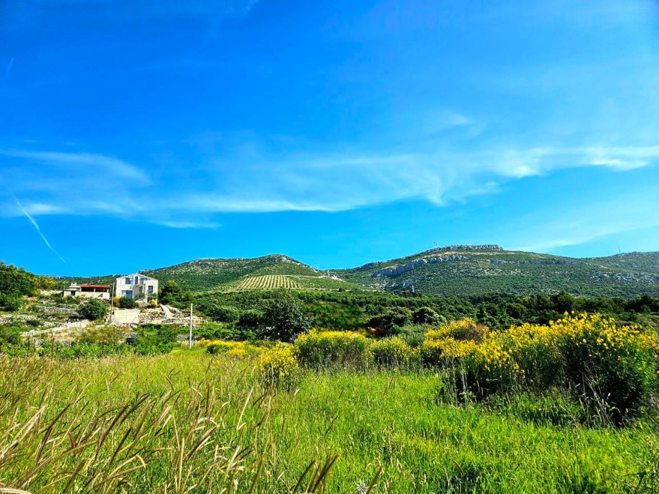 Villa Bepina, Surrounded By Sea, Olive, Vineyard Kastel Novi Bagian luar foto