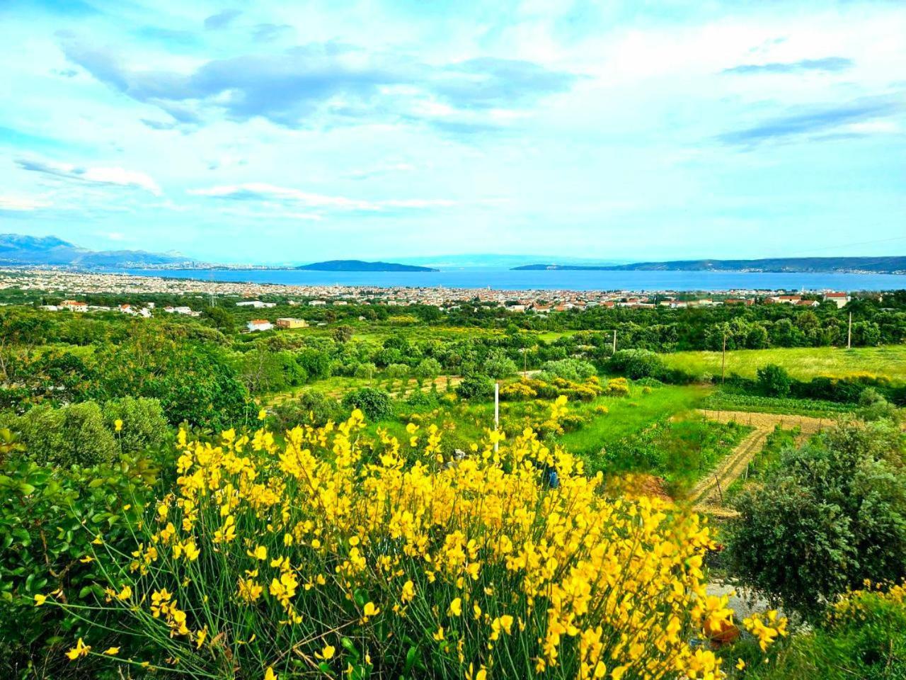Villa Bepina, Surrounded By Sea, Olive, Vineyard Kastel Novi Bagian luar foto